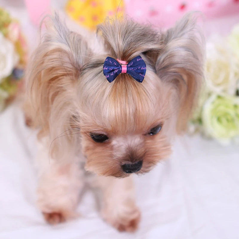 5pcs Dog Bow Multiple Grooming Bows Hair Clip for Puppy Small Dogs Pet Grooming Accessories Puppy Supplies Pet Supplies