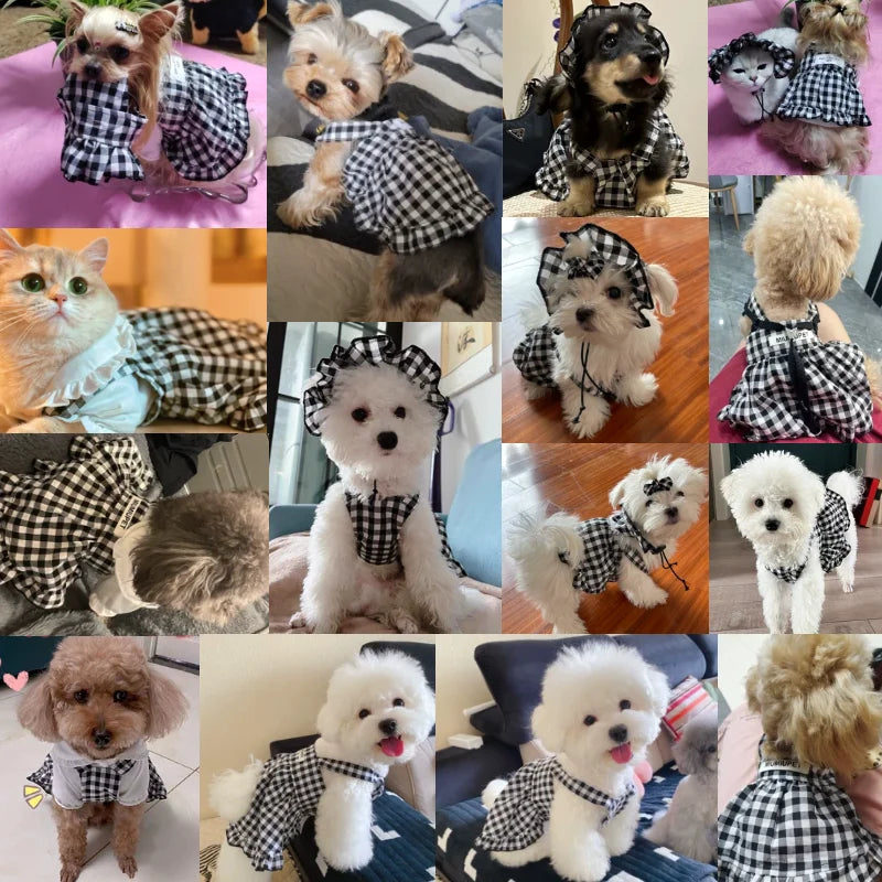 Dog Clothes Summer Cute Pet Plaid Striped Suspender Skirt Hat Vest Set Small Dog Dress Chihuahua Bichon Yorkie Dog Costume 2023