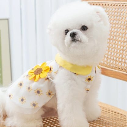 Dog Princess Dress Cute Pet Dog Mesh Dress Kitten Puppy Pet Skirt Summer Dog Dress Bow Lace Korean Poodle Chihuahua Dog Clothes
